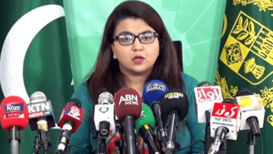 وزیر مملکت برائے آئی ٹی شزہ فاطمہ
