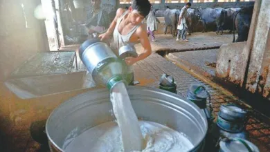 حکام کے مطابق دودھ کے 583 میں سے 541 نمونے غیر معیاری اور مضر صحت پائے گئے
