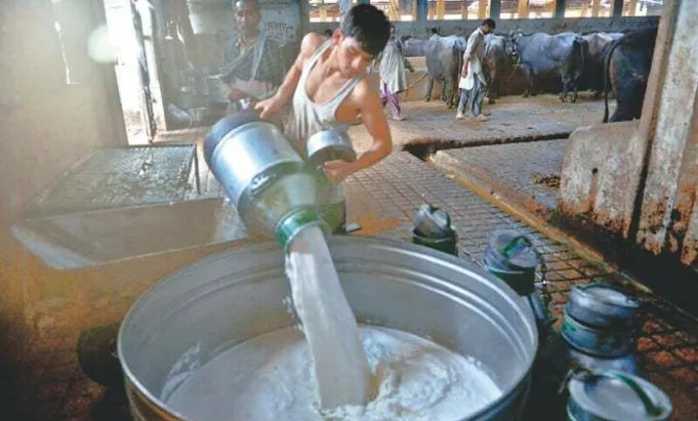 حکام کے مطابق دودھ کے 583 میں سے 541 نمونے غیر معیاری اور مضر صحت پائے گئے