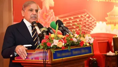 پاک چین دوستی ہمالیہ سے اونچی، سمندرسے گہری ہے، سی پیک فیز 2 کے تحت پاکستان اور چین کے درمیان بی ٹو بی روابط بڑھیں گے— فوٹو: پی آئی ڈی